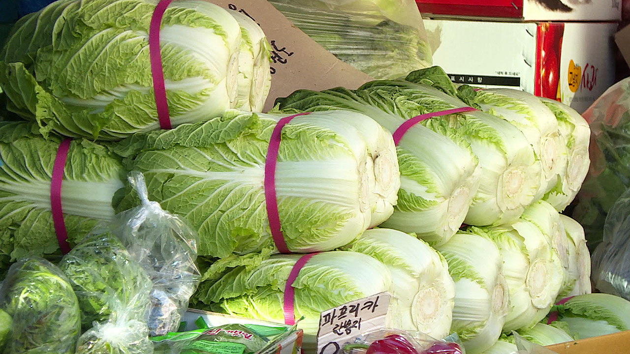Ministry of Agriculture forecast chart showing stable napa cabbage supply