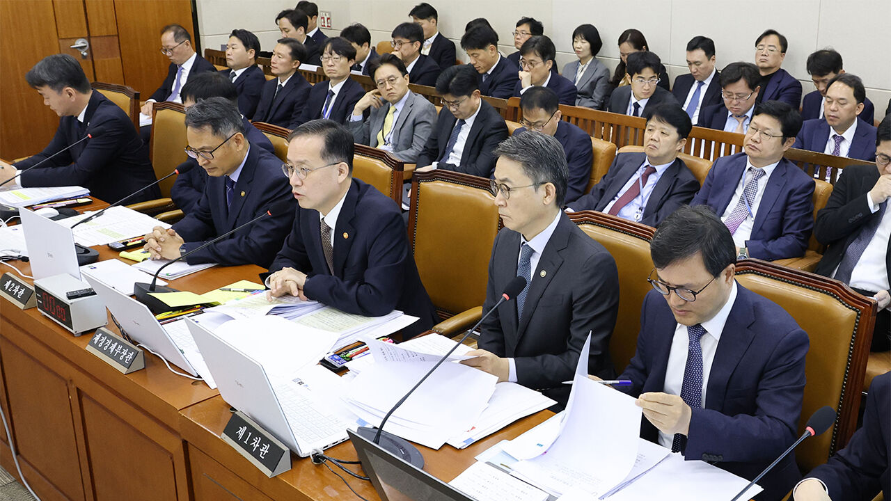 Deputy Prime Minister Rhee Hyung-il speaking at the National Assembly Strategy and Finance Committee audit