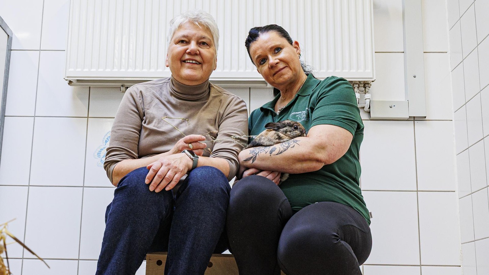 Hamburg Animal Shelter Crisis