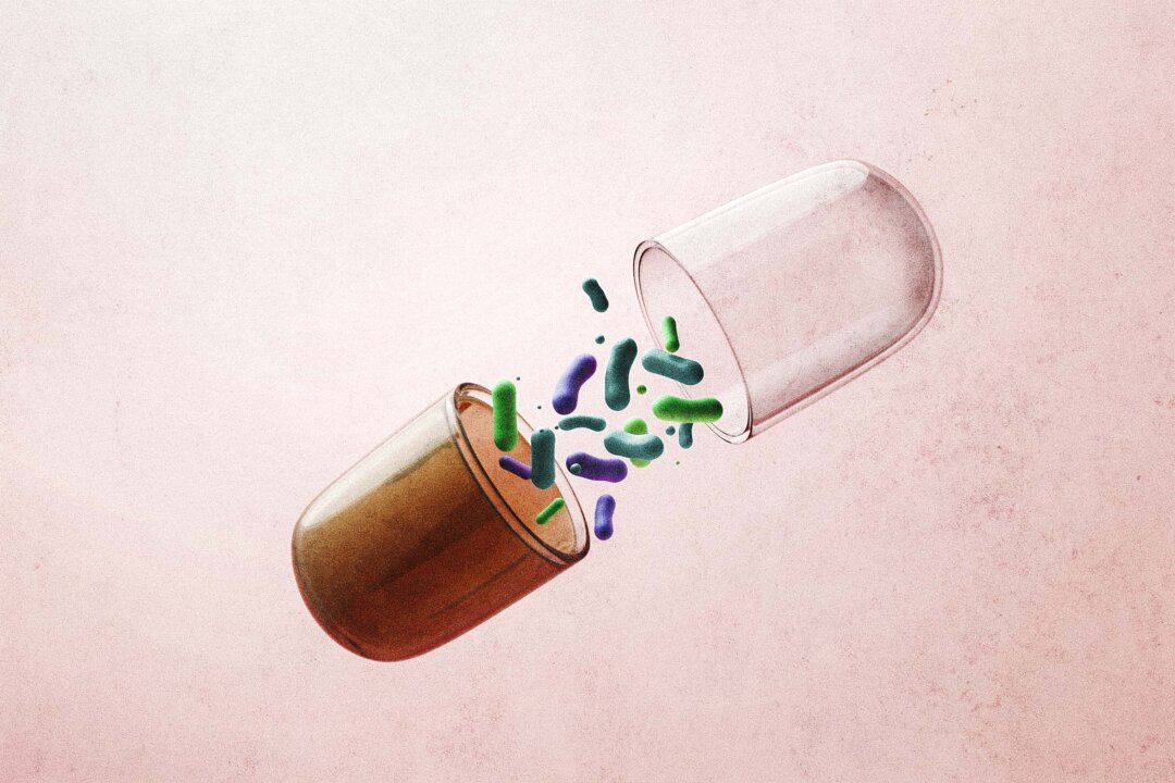Probiotic supplement capsules being poured into a hand