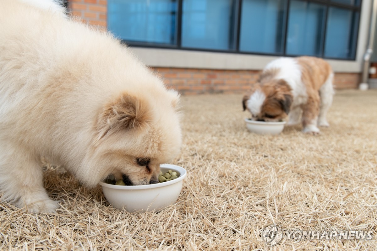 Yonhap News image regarding pet food trade deficit