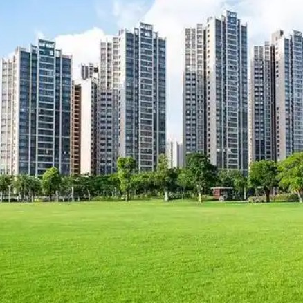Image from The Paper regarding property policy results