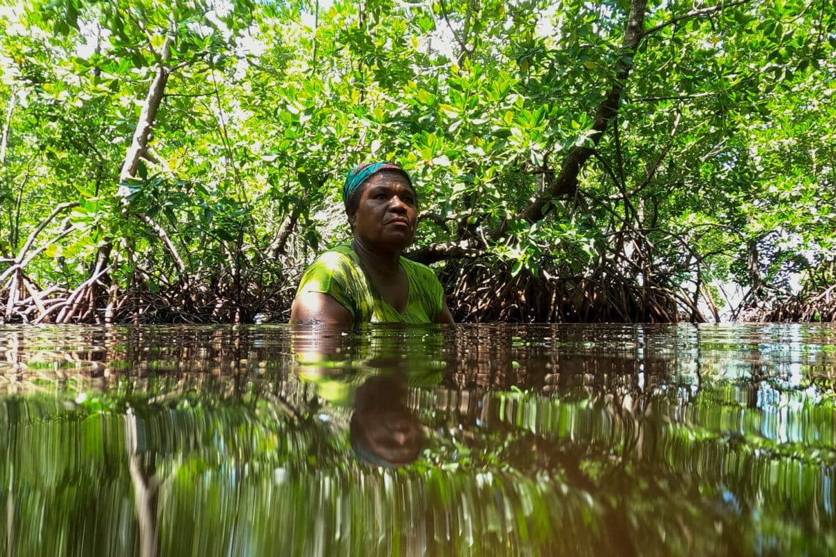 Image showing forest communities in Papua province, illustrating the global context of forest rights funding