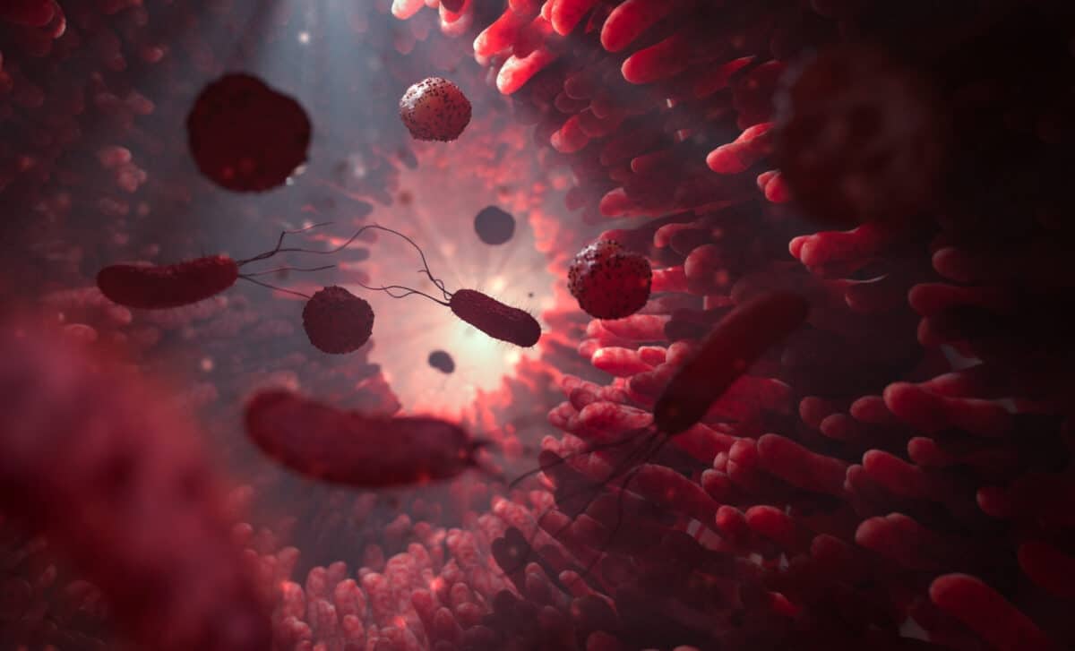 3D rendering of interaction between gut bacteria and brain neurons
