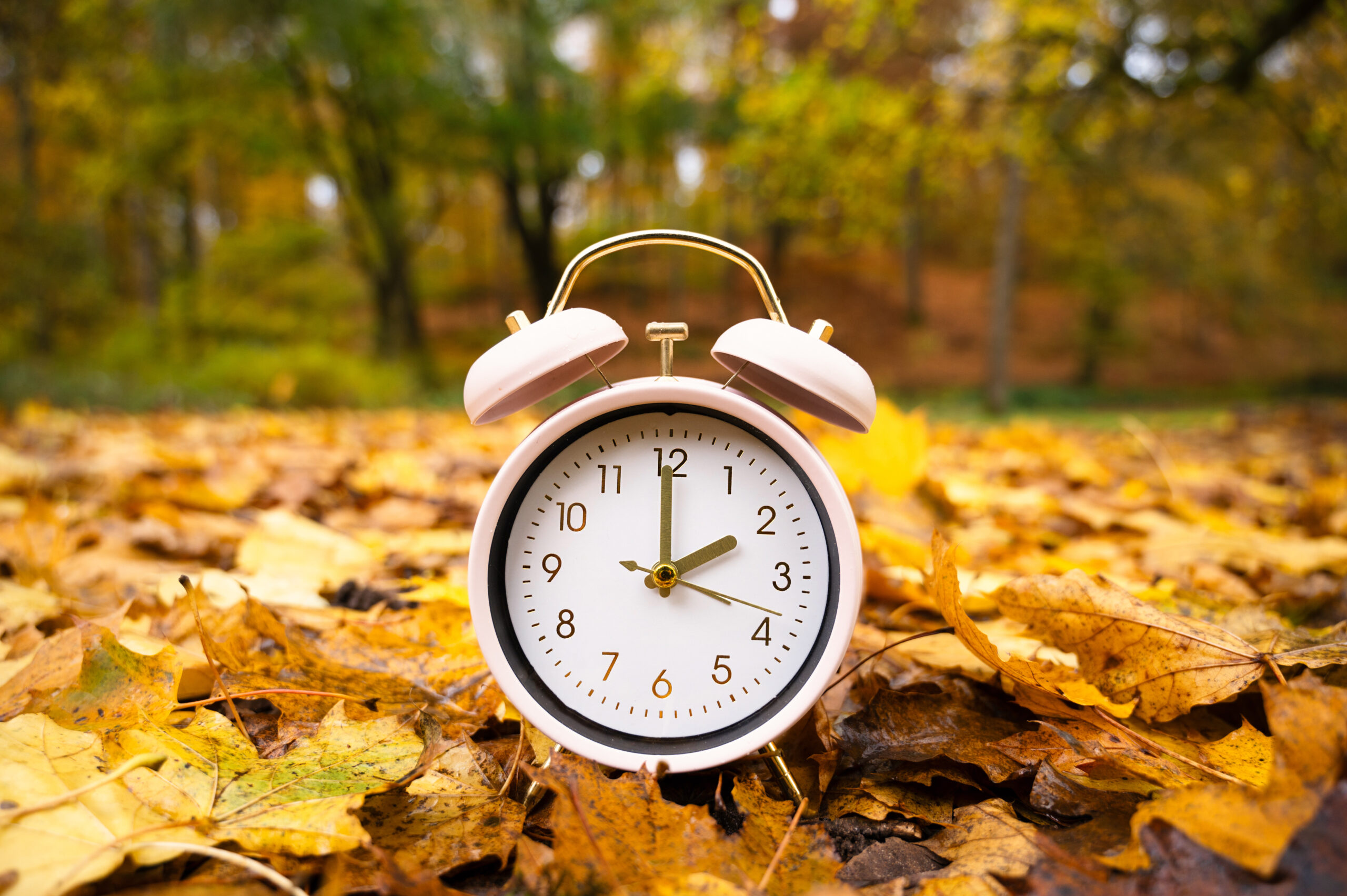 Diagram or photo illustrating the science behind daylight saving time changes