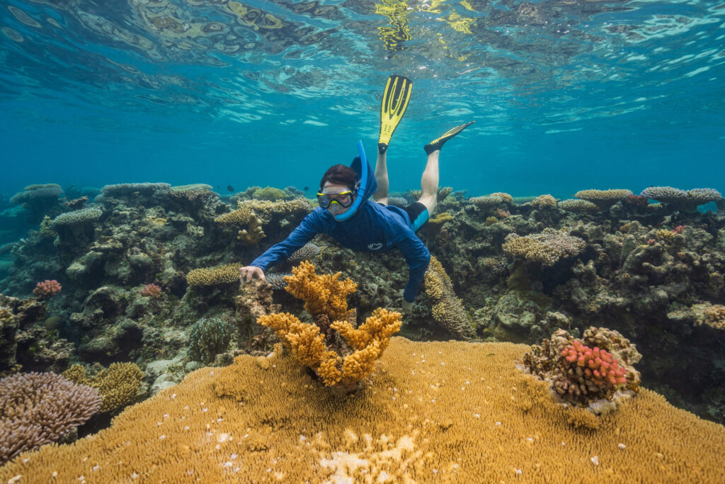 Climate-resilient coral reef habitat identified through new global analysis