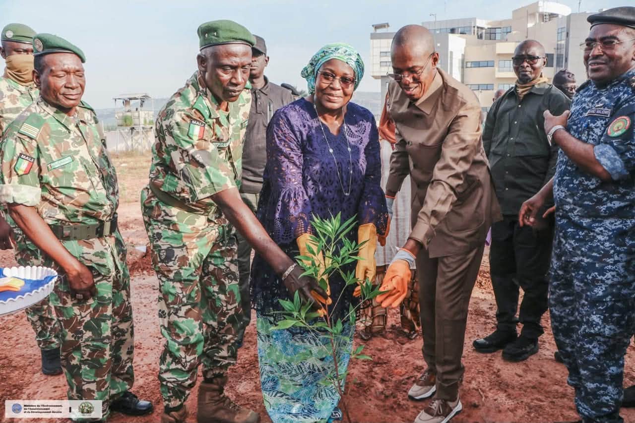 Reforestation activity in Samanko, Mali