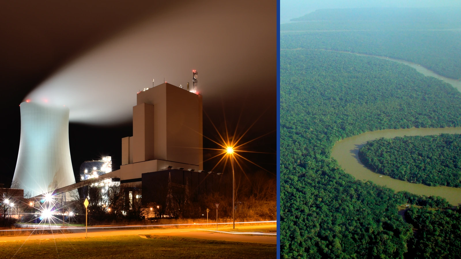 Power generation and forest credits illustrating carbon markets