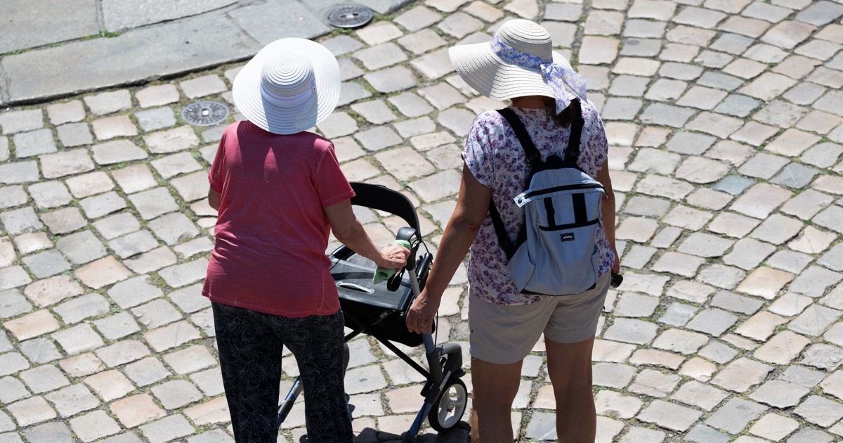 Older adults engaged in physical activity to support brain health