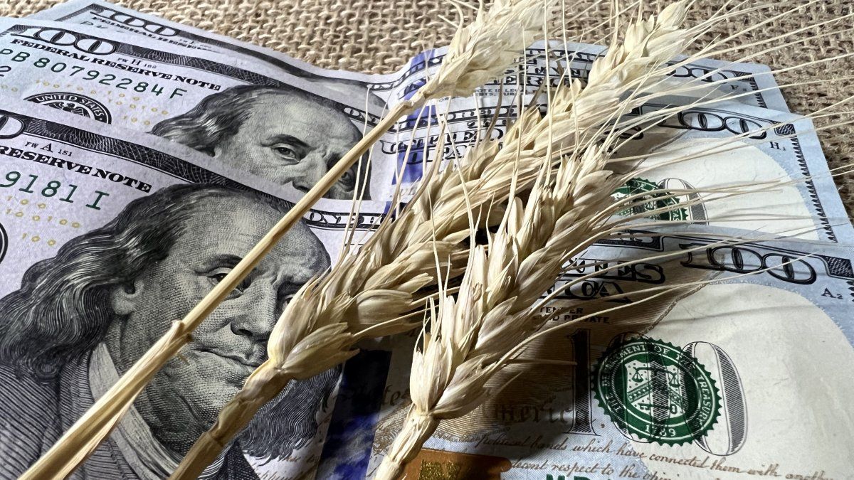 Argentine grain prices hit 3-year highs