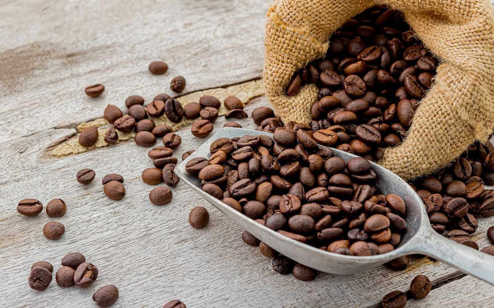 Dark roasted coffee beans with scoop