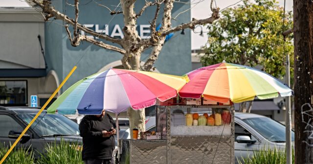 Image of illegal street vendors in Los Angeles