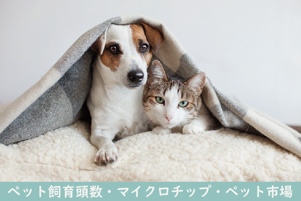 Chart showing pet ownership trends in Japan