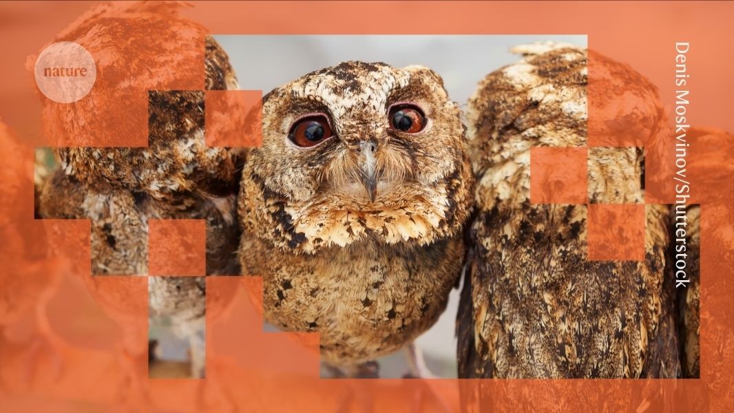 AI Model Bias Research — Nature