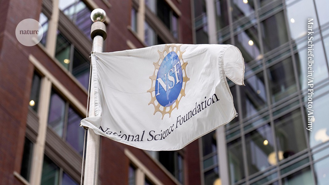 Nature article header on NSF funding cuts