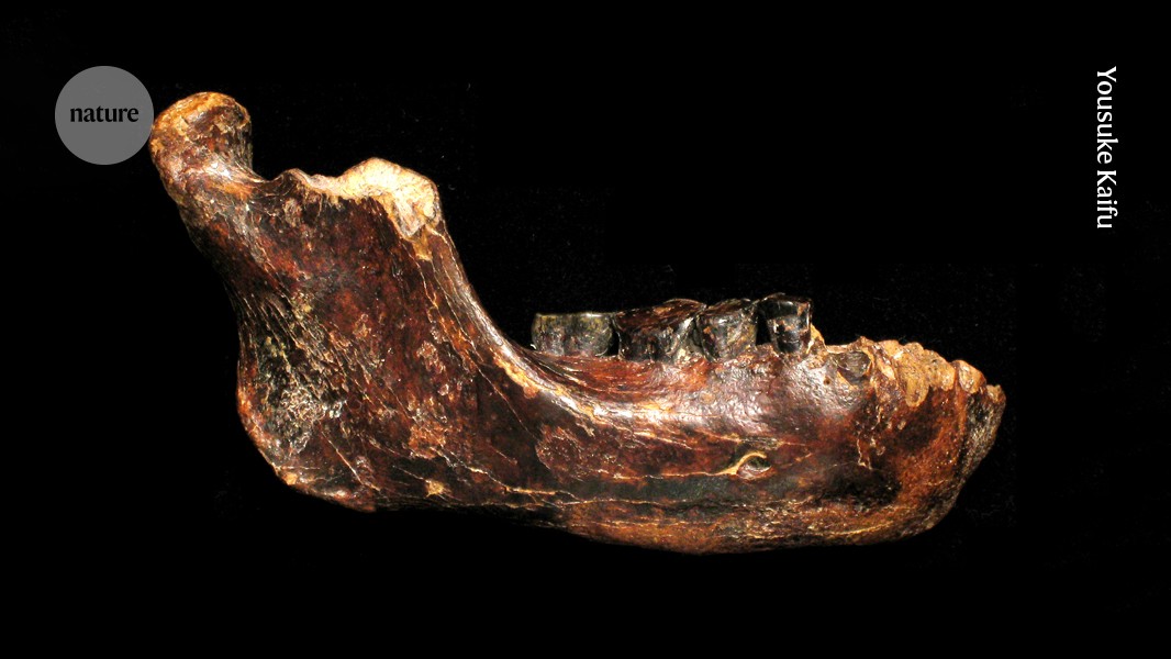 Excavation of Denisovan fossils at Bianfu Cave