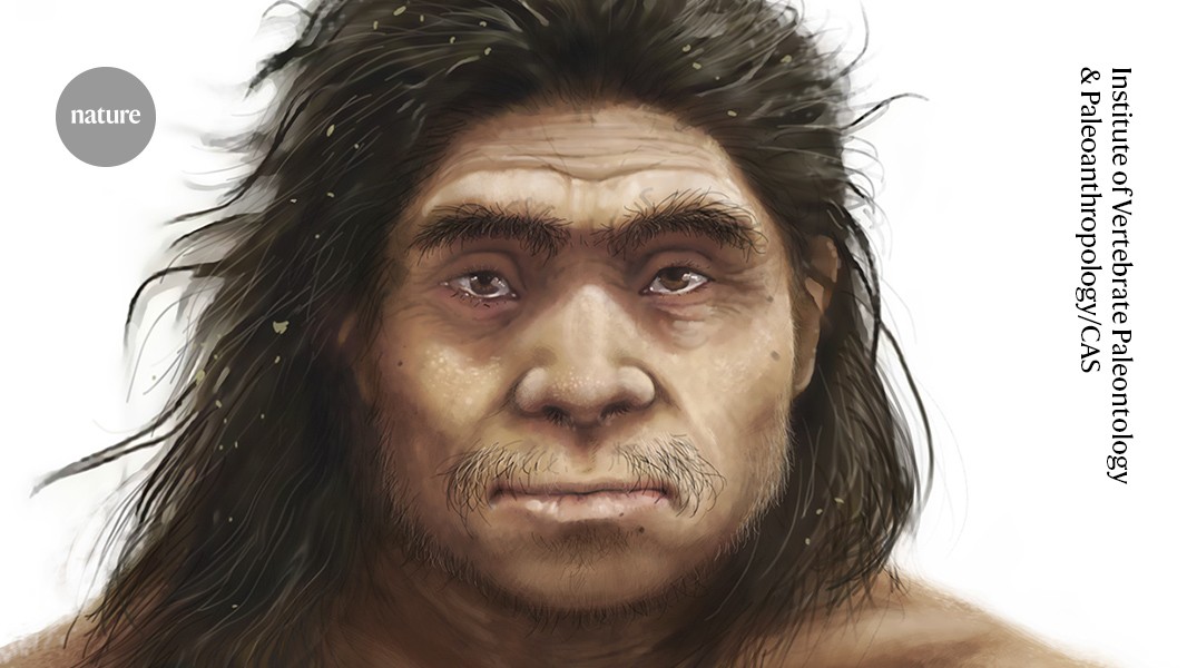 Denisovan fossil analysis