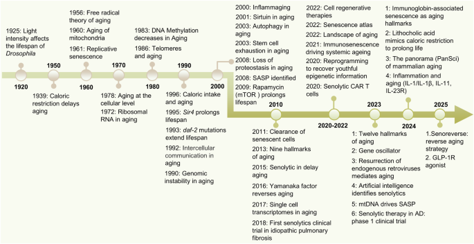 Illustration of the mTOR pathway and rapamycin's mechanism of action