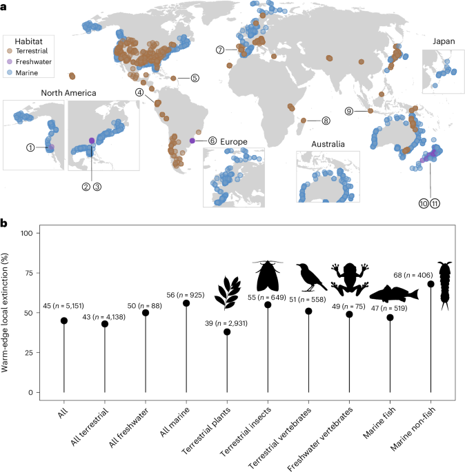 Climate change impacts on species diversity in temperate and tropical regions