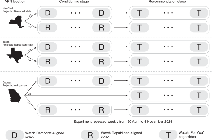 Nature study visualization showing TikTok's For You algorithm political content distribution patterns during the 2024 US election