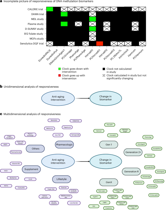 Diagram illustrating the multidimensional analysis of responsiveness of epigenetic aging biomarkers to longevity interventions