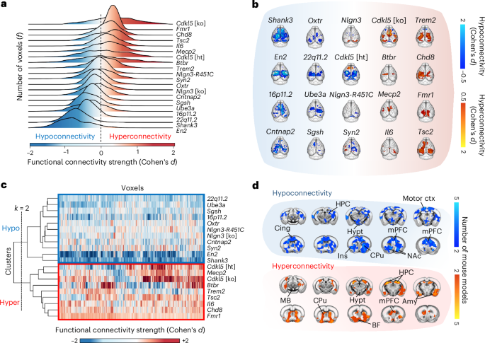 Nature Neuroscience에 게재된 ASD 교차종 기능 연결성 분석 그림