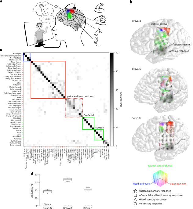Image from the Nature Neuroscience article showing a virtual avatar being animated by brain-computer interface signals