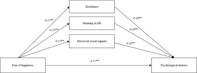Research illustration on fear of happiness and wellbeing pathways