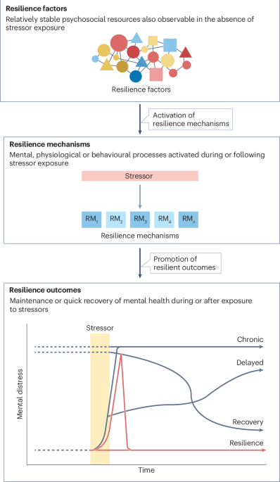 Conceptual diagram of resilience intervention mechanisms