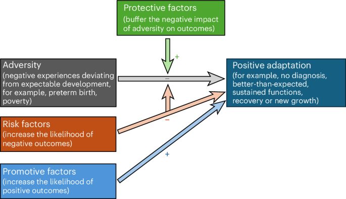 Diagram from the systematic review on resilience methodologies