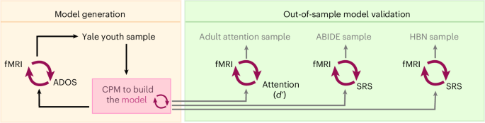 Figure 1 from the functional connectivity study in Nature Mental Health