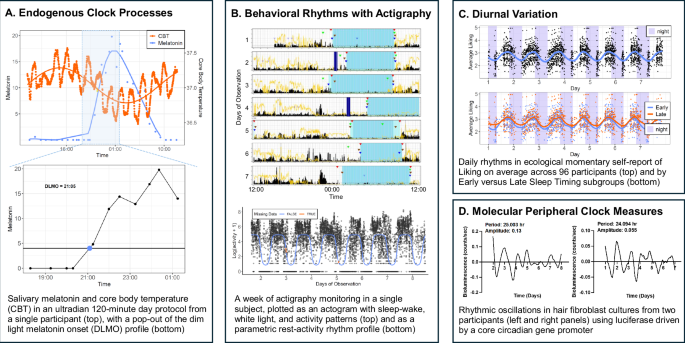 Diagram showing circadian rhythm mechanisms relevant to psychiatric practice