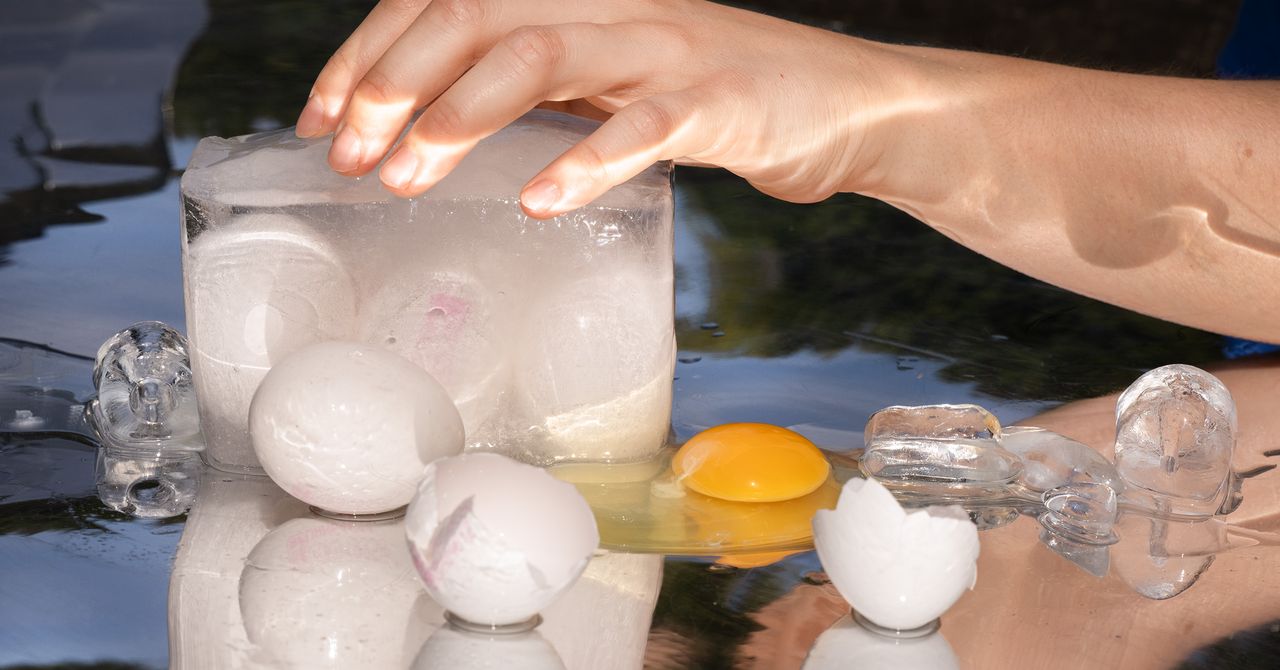 Cofertility Article Thumbnail