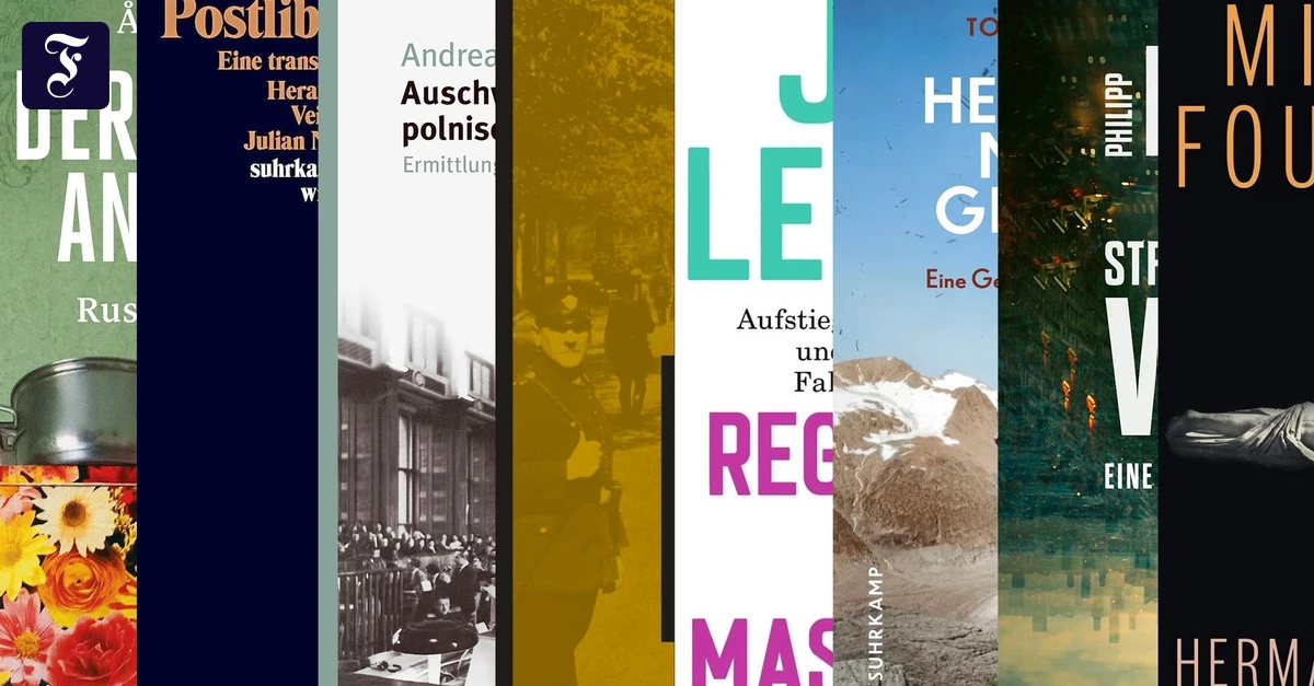 Cover art for Russian war history book mentioned in FAZ preview