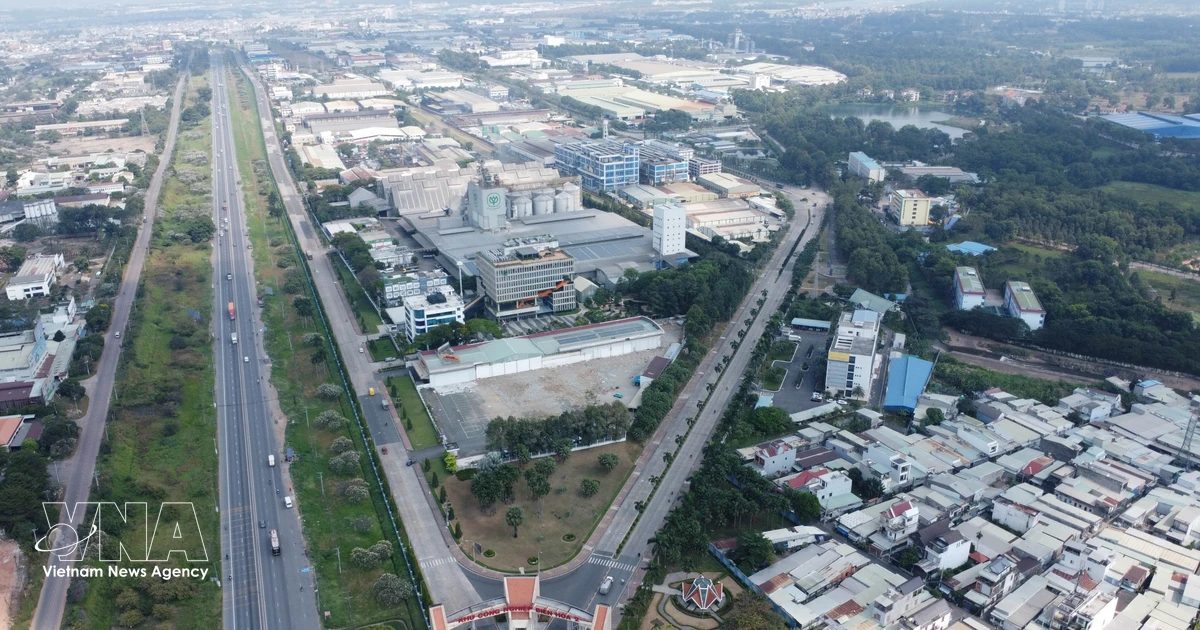 Vietnamese business registration growth