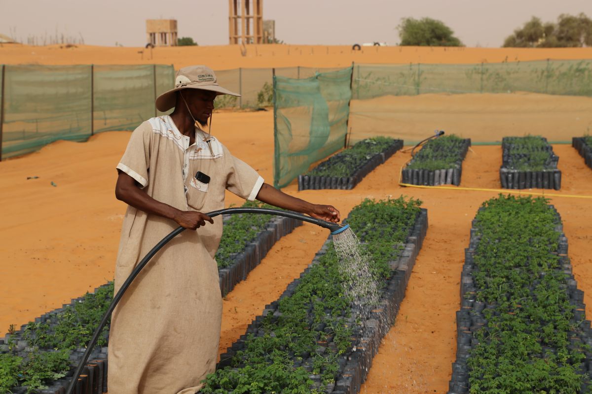 Great Green Wall landscape photo used in Snopes fact-check