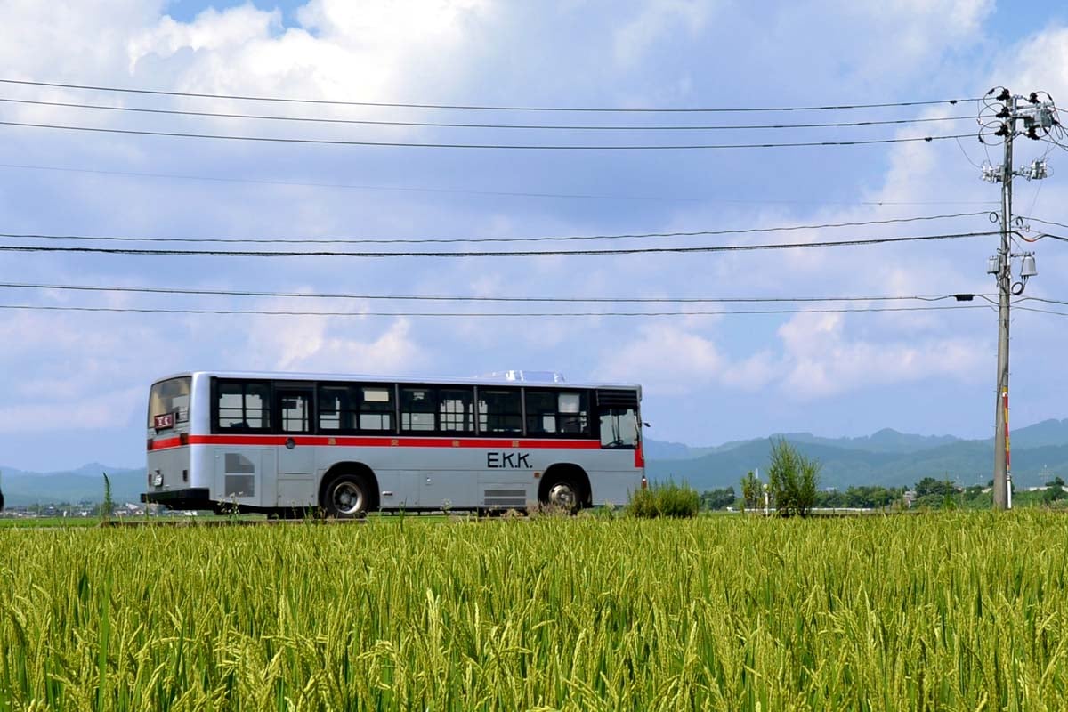 Graph showing increase in abandoned bus route distances