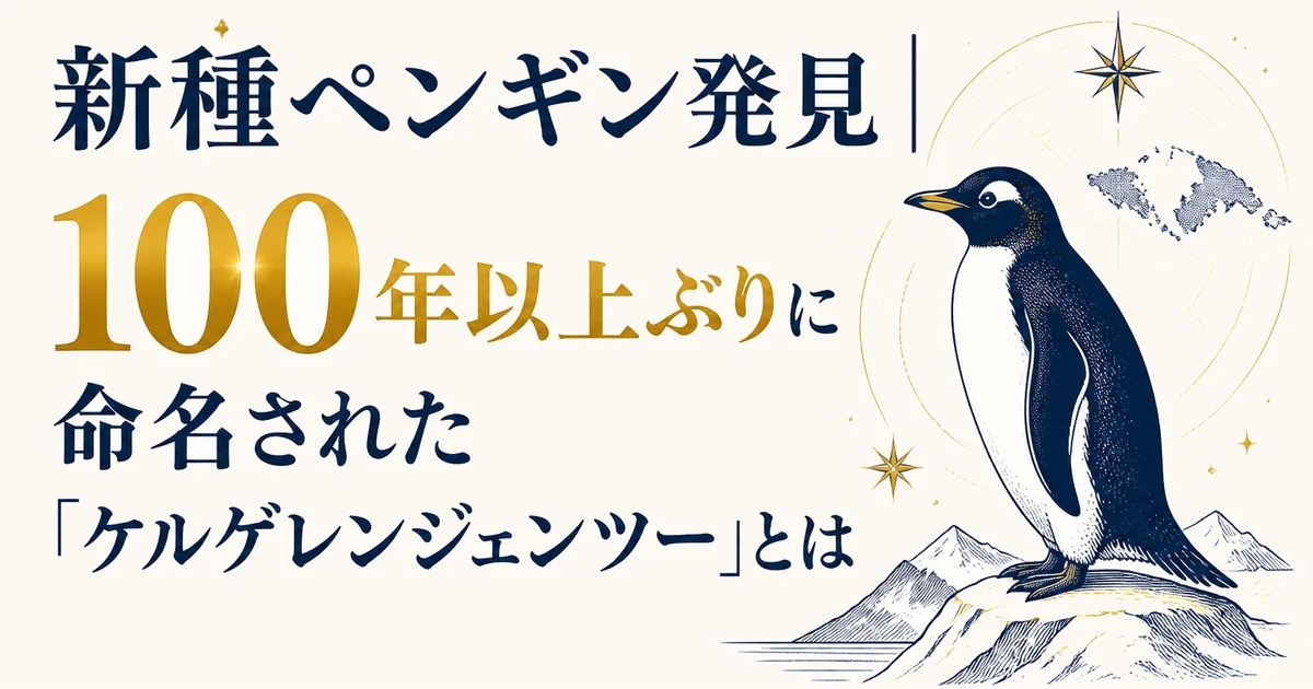 New penguin species coverage