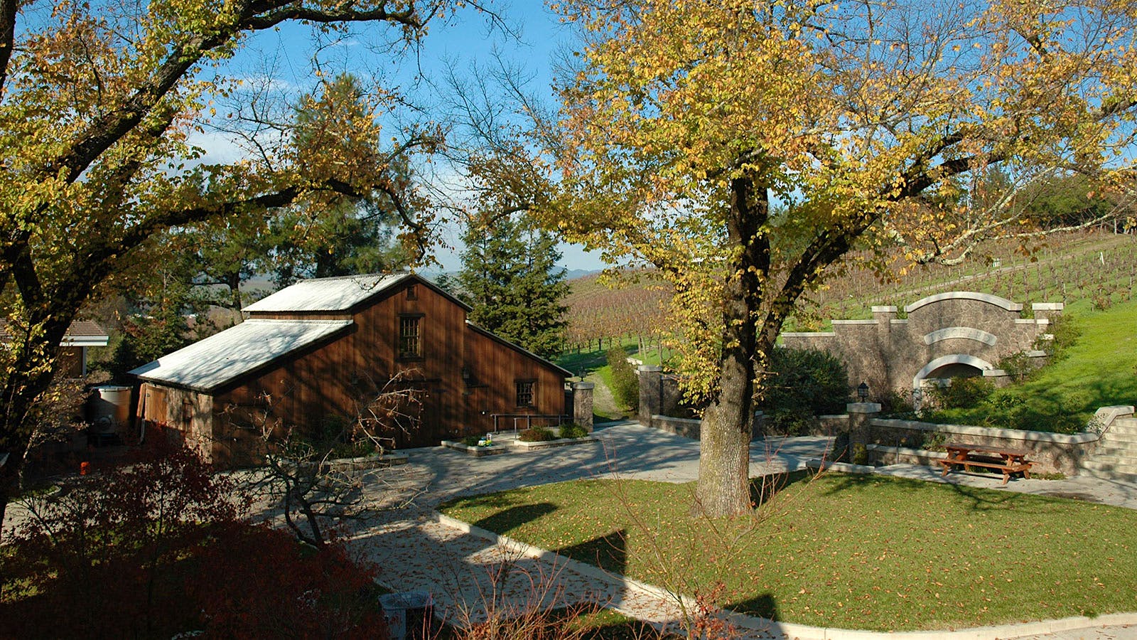 Vineyard scene illustrating California Pinot Noir wine review feature