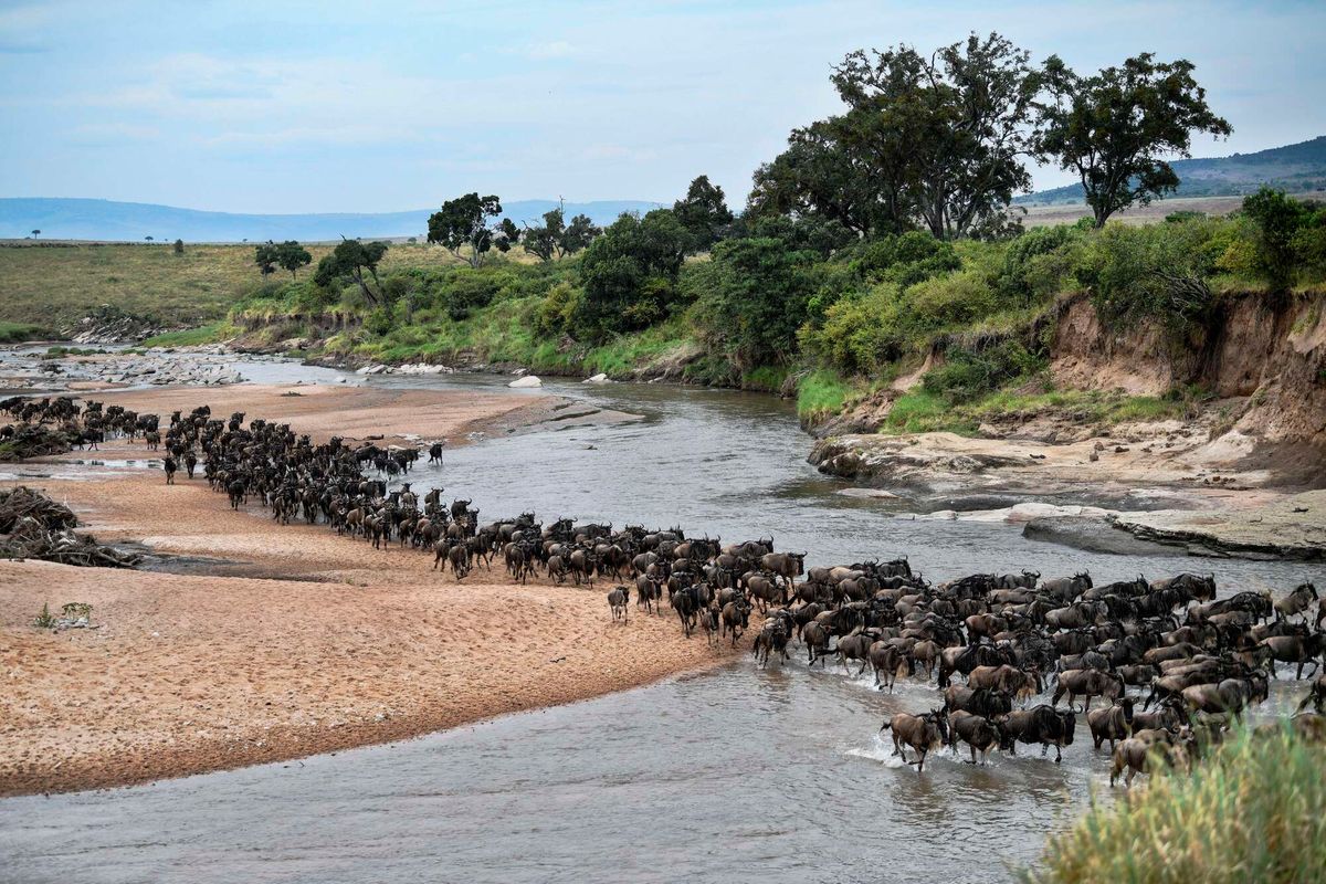 Masai Mara landscape with wildlife