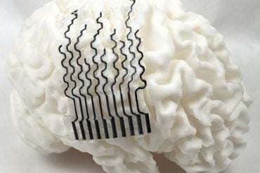 3D-printed honeycomb bioelectrode for brain stimulation