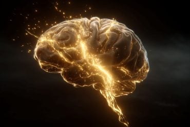 Brain illustration highlighting dopamine and Alzheimer's memory