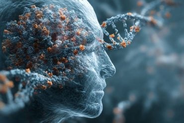 Head and DNA illustration representing personalized glioblastoma DNA vaccine research