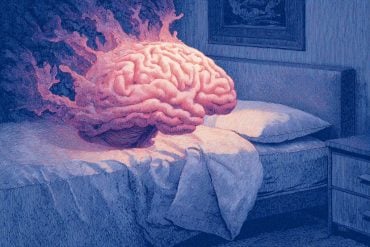 A brain resting on a bed — illustrating the glymphatic-dementia-sleep connection