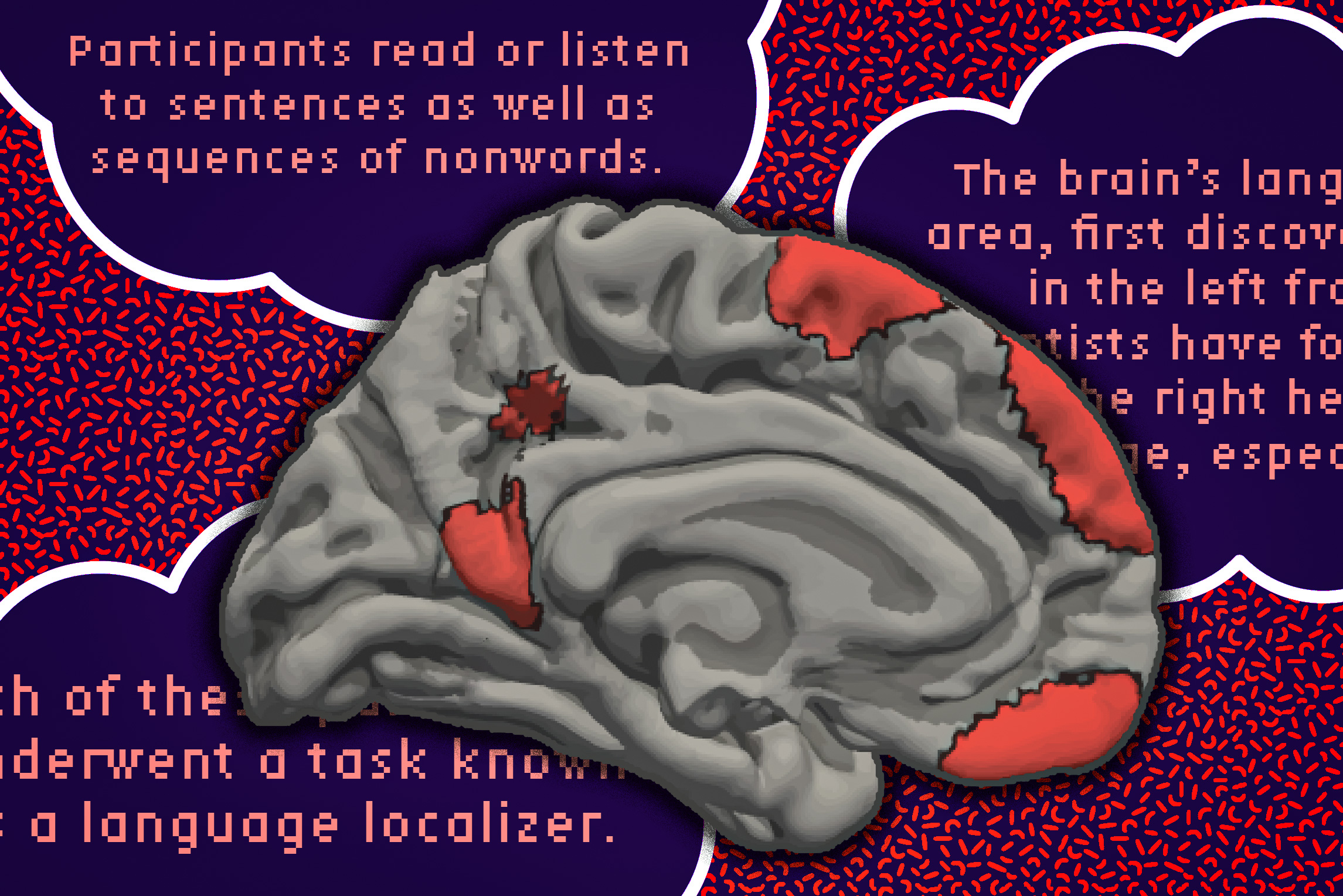 Brain regions involved in language processing revealed by fMRI imaging of over 700 subjects