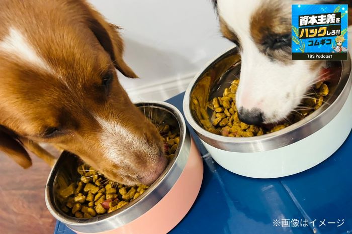 TBS News graphic regarding pet market trends