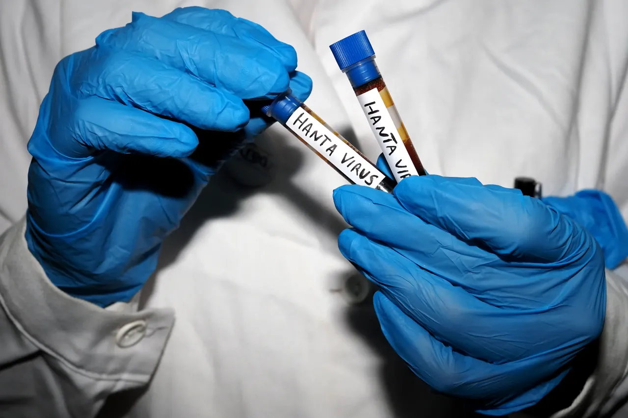Ebola and hantavirus vaccine development has accelerated in response to active outbreaks
