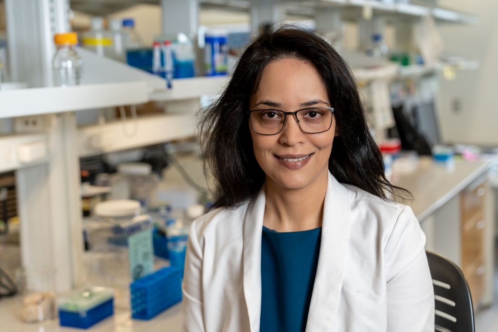 Virginia Tech researchers studying menopause and gene activity linked to heart disease risk