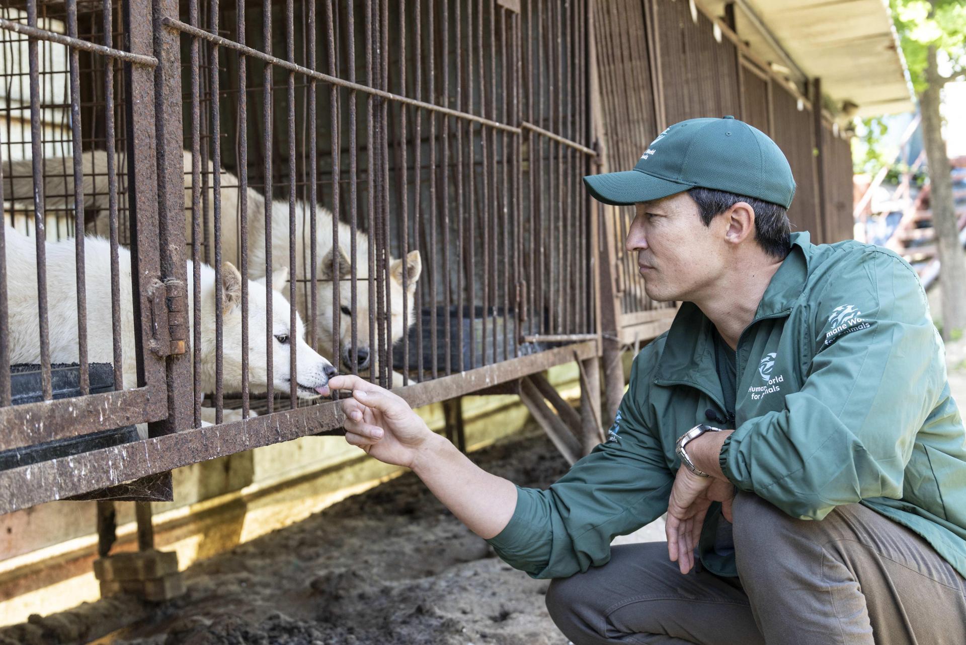 Image showing the closure of dog meat farms in South Korea