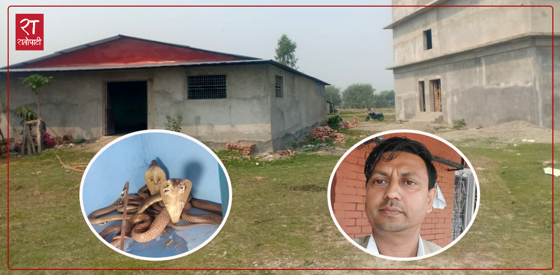 News thumbnail regarding Nepali snake venom industry